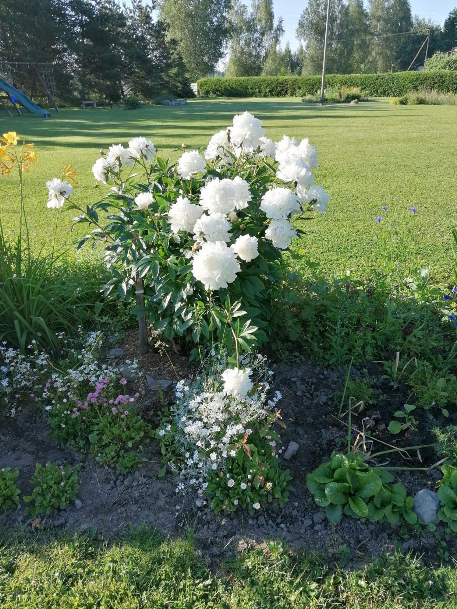 Villa River Rose Jõesuu Eksteriør bilde